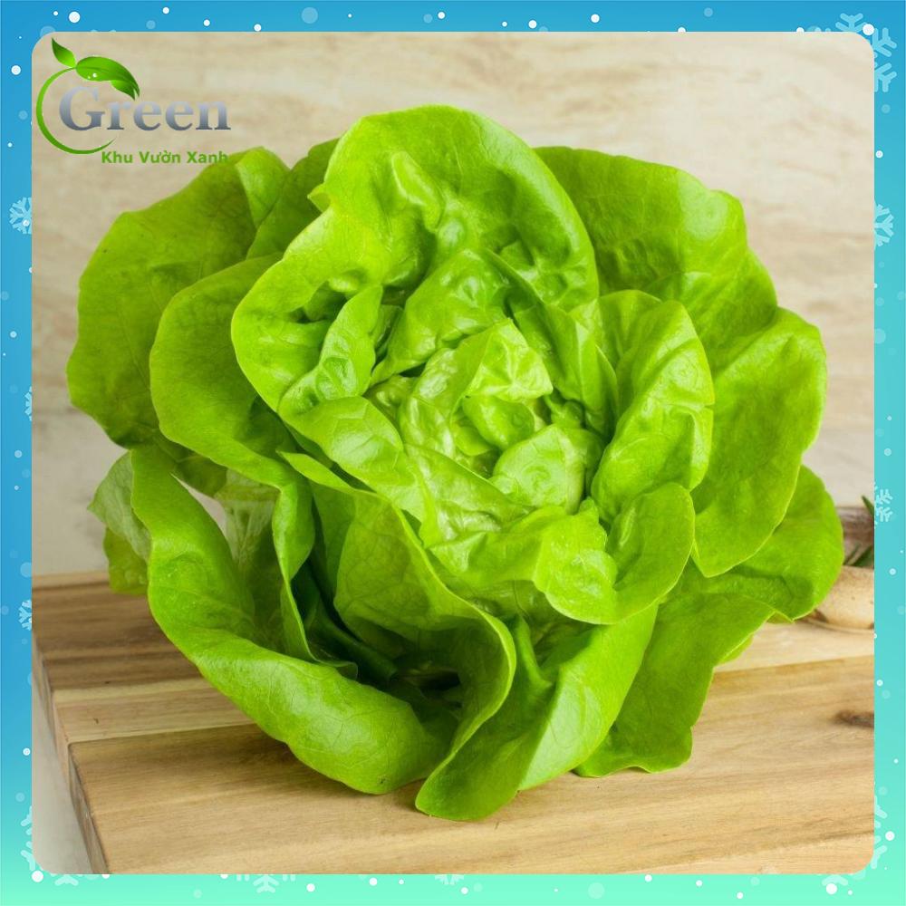 Hạt Giống Xà Lách Búp (Xà Lách Đăm)