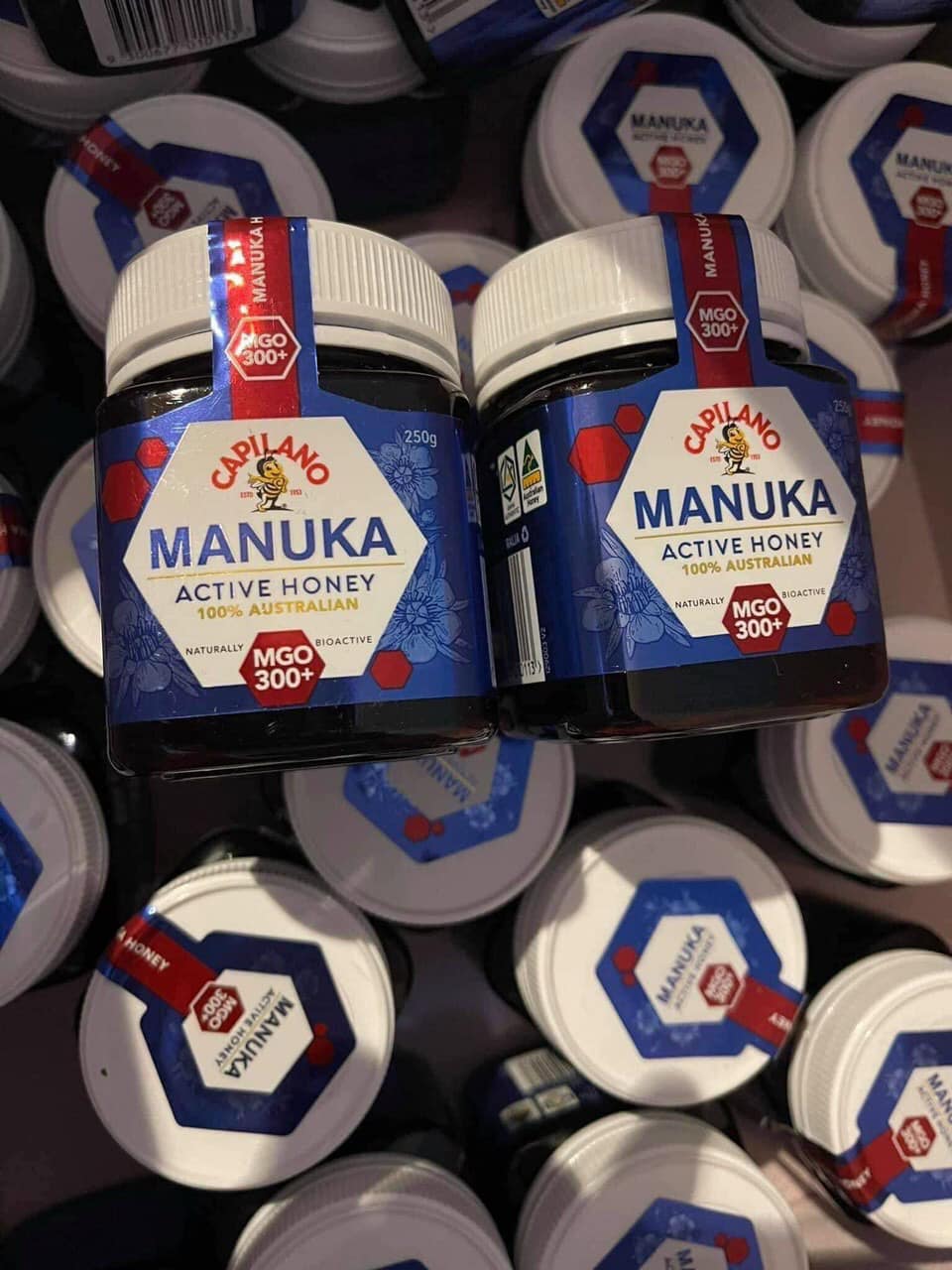 Mật ong Manuka Mgo 300+