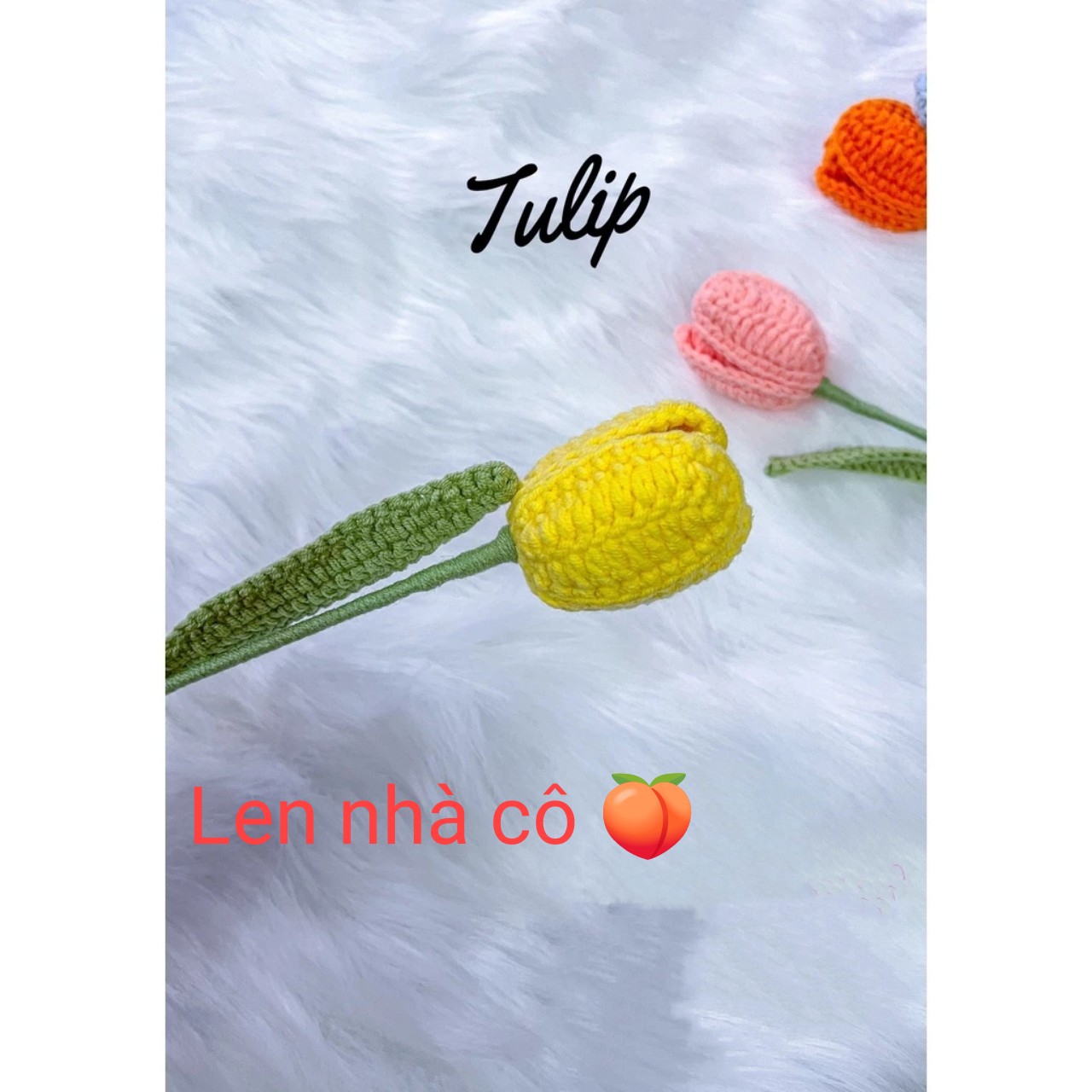 HOA TULIP CÀNH  DÙNG TRANG TRÍ  NHIỀU MÀU ( 1 CÀNH)