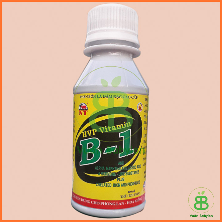 Phân Bón Lá Vitamin B1 Chuyên Cho Phong Lan 100ml