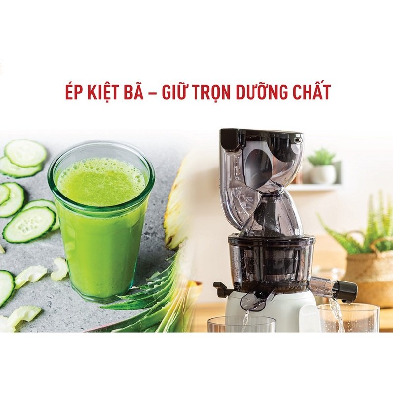 Máy Ép Trái Cây Tốc Độ Chậm Tefal ZC600138