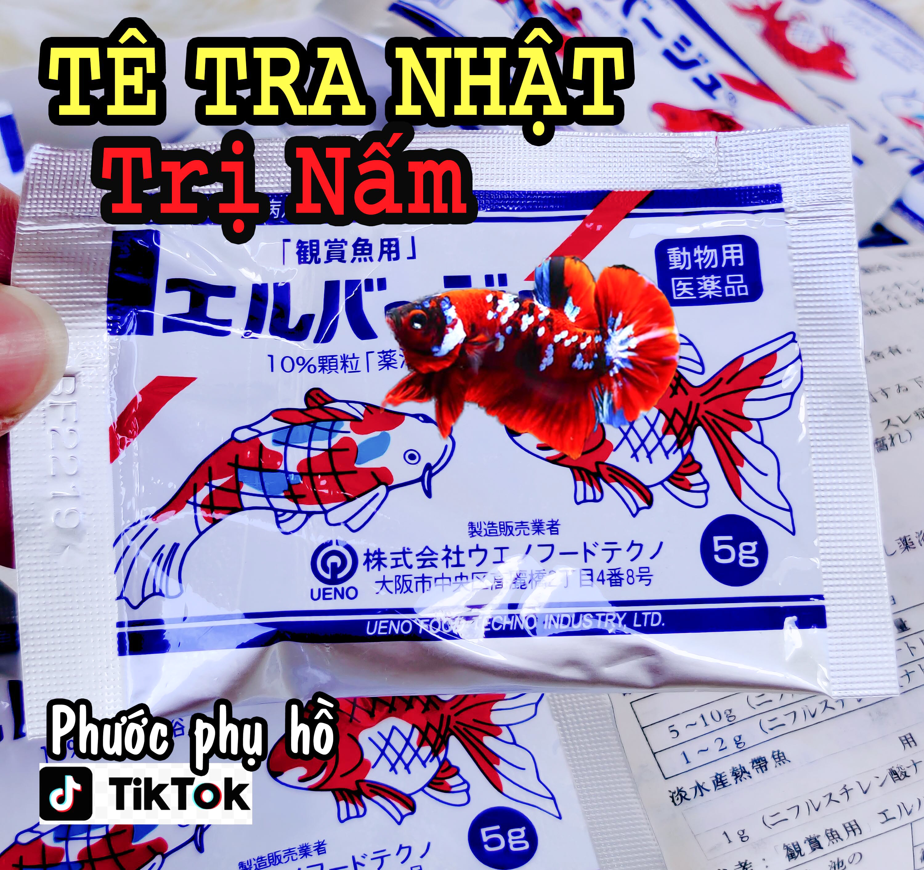 Tetra Nhật trị Nấm cá Betta . 7 Màu