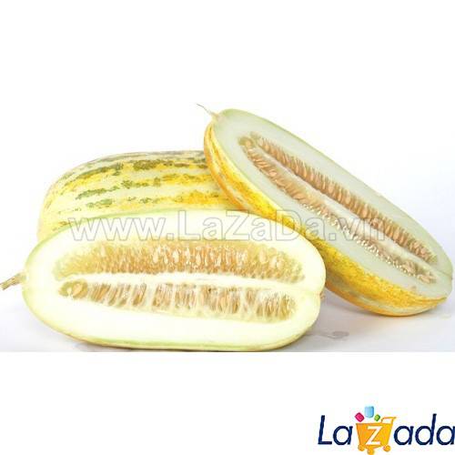 1Gr Hạt Giống Dưa Gang Truyền Thống (B3.402| B3*V43*M212)