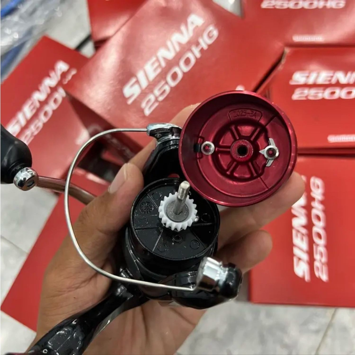 Máy câu cá đứng Shimano SIENNA LK Hòa