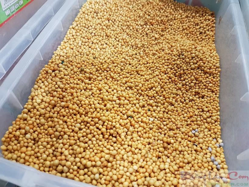 [M' Orchid] 200g Phân vàng tan chậm thái lan 14-14-14 cho phong lan phi điệp. Phân chì vàng, phân tan chậm vàng thái lan Osmocote