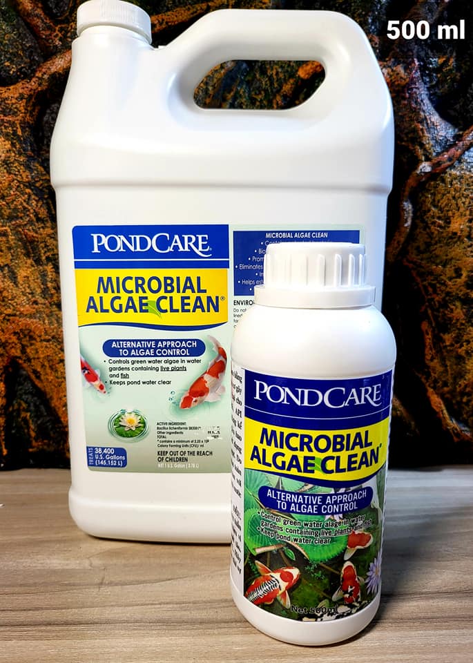 API - Microbial Algae Clean - Vi sinh ăn rêu tảo, mùn bã, chất dơ