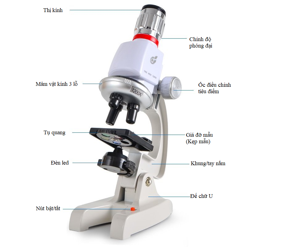 Kính hiển vi sinh học MICROSCOPE-C2170 phóng đại lên 1200X