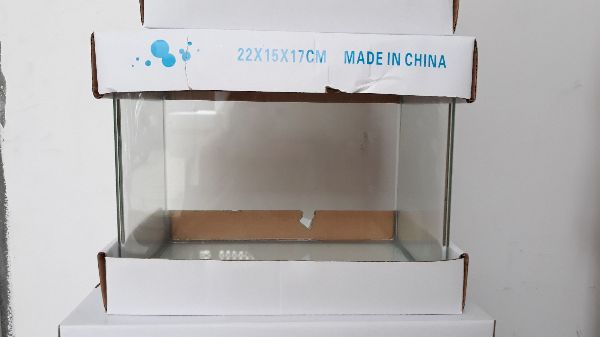 [HCM]Bể cá đúc mặt bo cong 22 x 15 x 17 cm