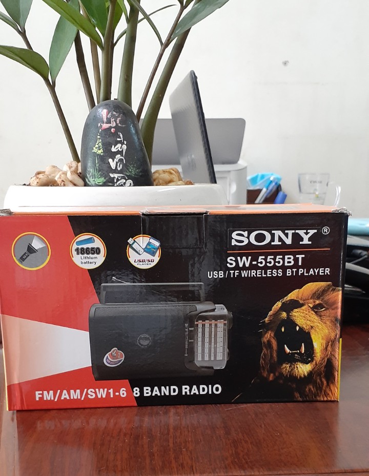RADIO SONY SW555BT