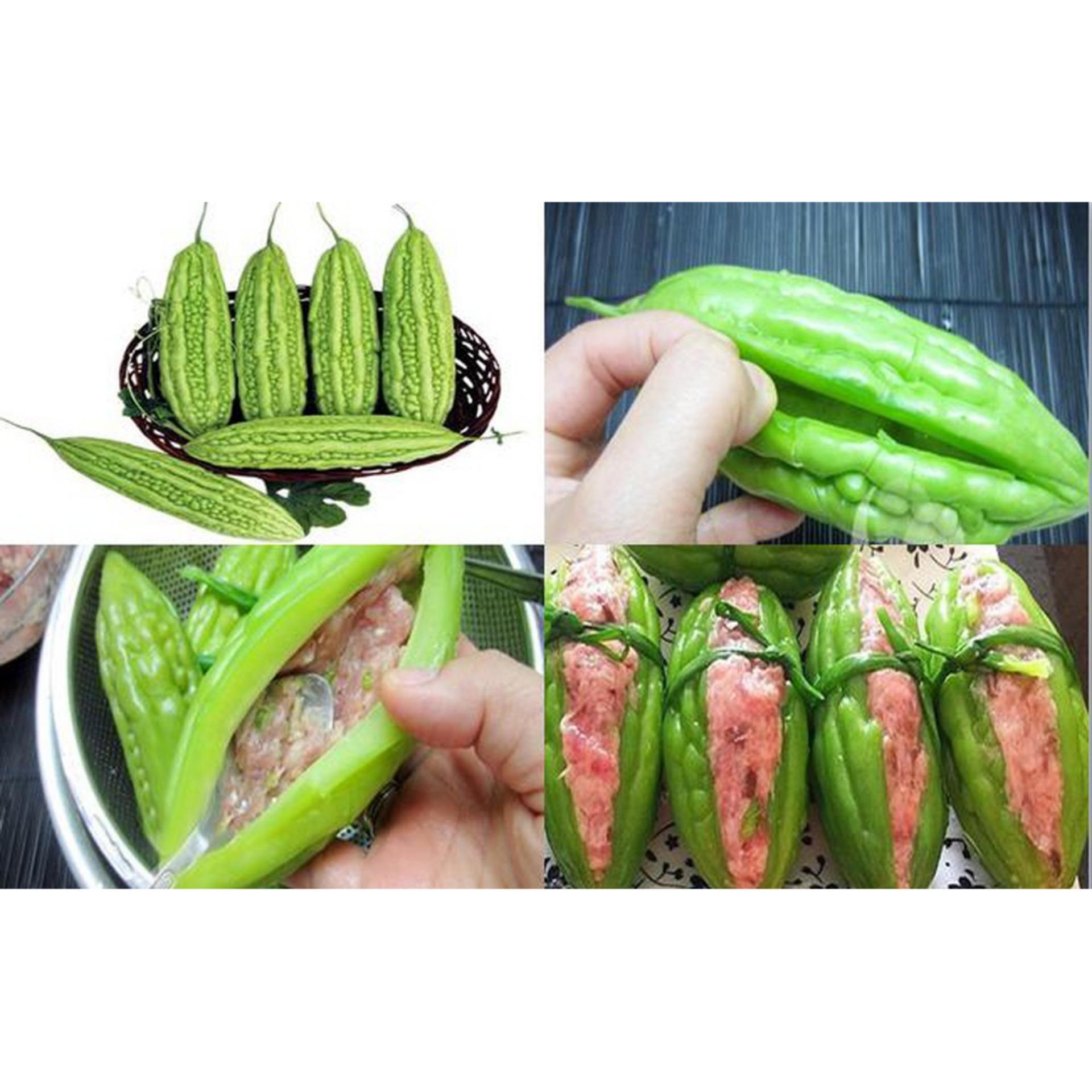 10 Hạt giống Khổ qua F1 (tặng Kích nẩy mầm, Hướng dẫn ươm)