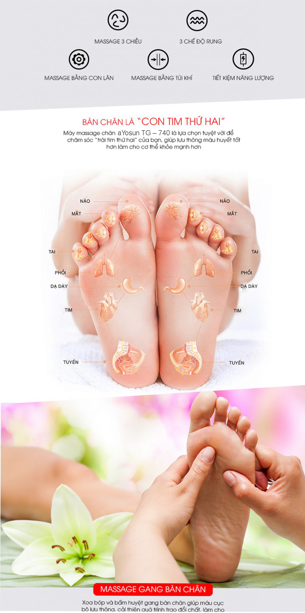 Máy massage chân cao 5D AYOSUN Hàn Quốc (Bảo hành 5 năm chính hãng)