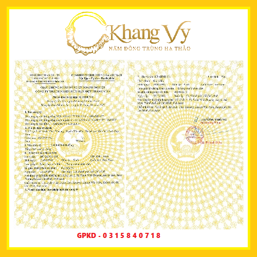 Bột đông trùng hạ thảo C-Khang Vy (Hộp 10g)