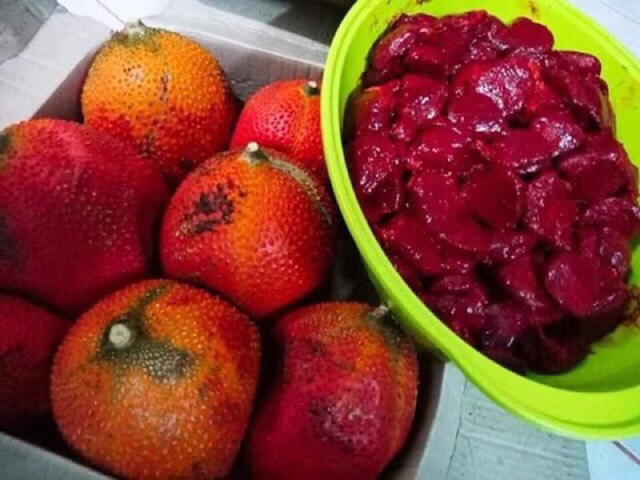 Bi lăn dầu gấc cho môi đỏ môi mềm