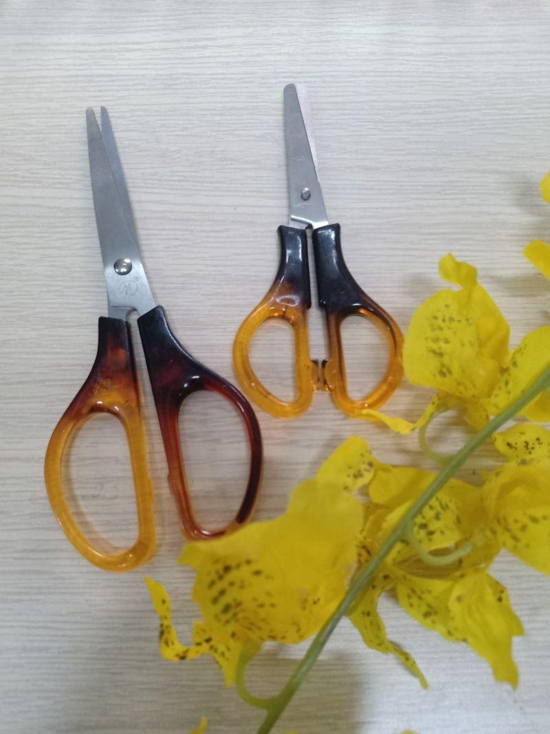Kéo xà cừ nhỏ - 5 cây