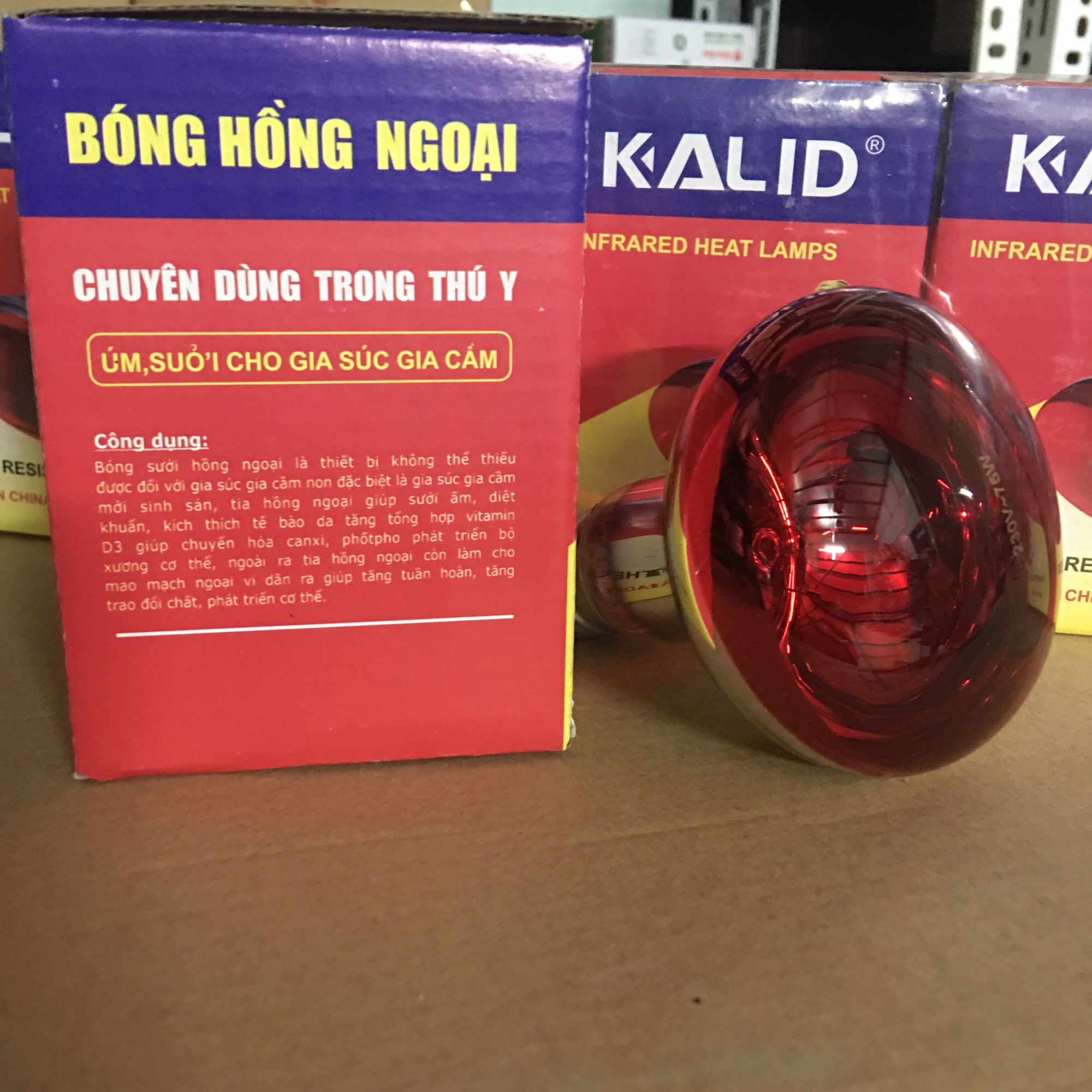Bóng đèn úm hồng ngoại 75w