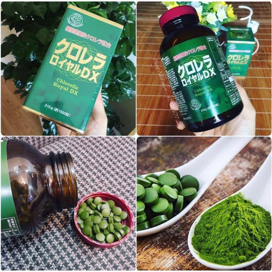 [HCM]Tảo lục hoàng gia Chlorella Royal DX