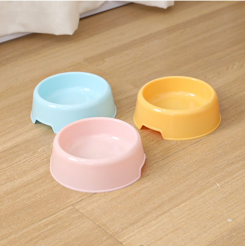chén tròn nhựa màu basic cho chó mèo - T3 PETS SHOP