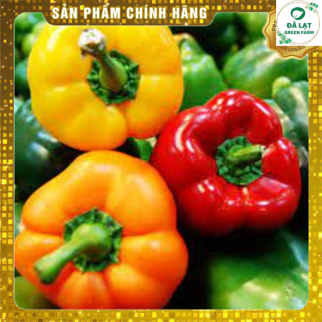 40H_HẠT GIỐNG ỚT CHUÔNG NHIỀU MÀU (NẢY MẦM CỰC CHUẨN)