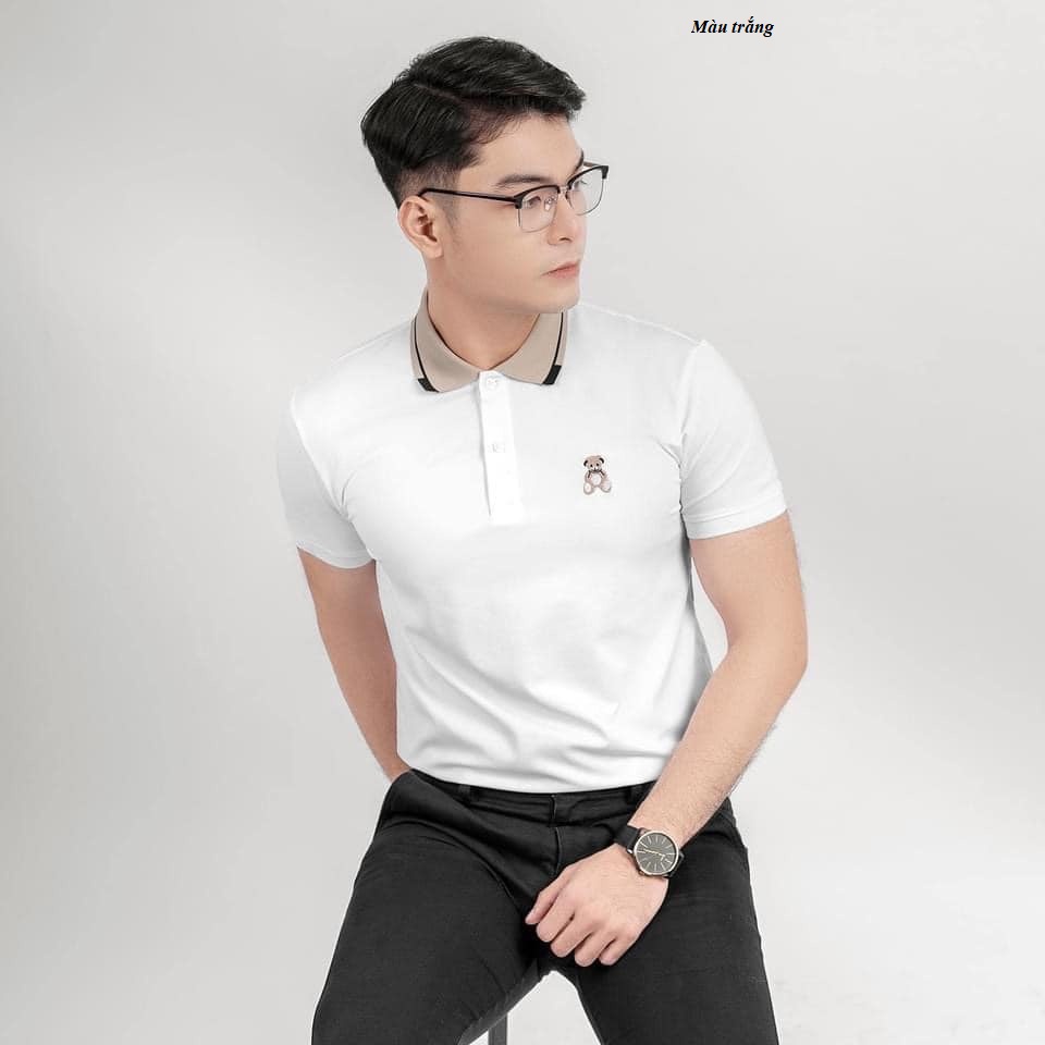 Áo phông cổ bẻ thêu gấu- Áo polo nam cộc tay