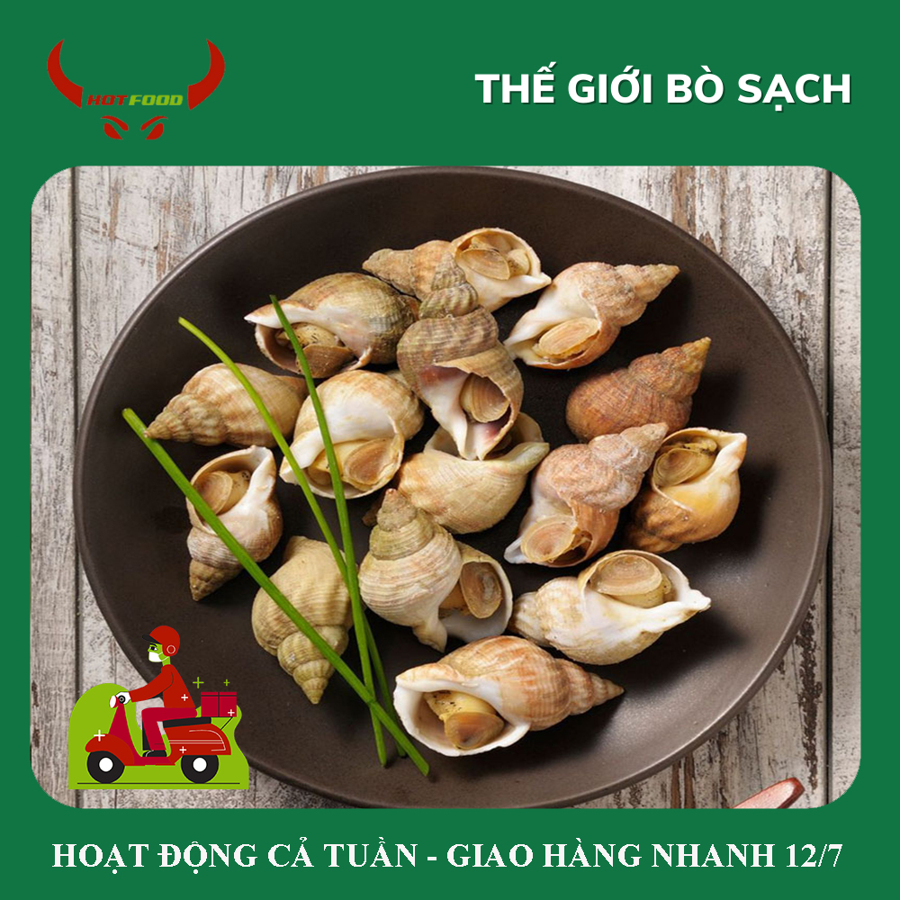 [ Miễn Phí Giao Hàng ]Ốc Bulot Pháp - 1Kg - Giao Nhanh HCM