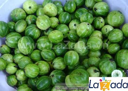 0.5Gr Hạt Giống Cà Pháo Thái Lan (B1.101| B50*X44*M223)