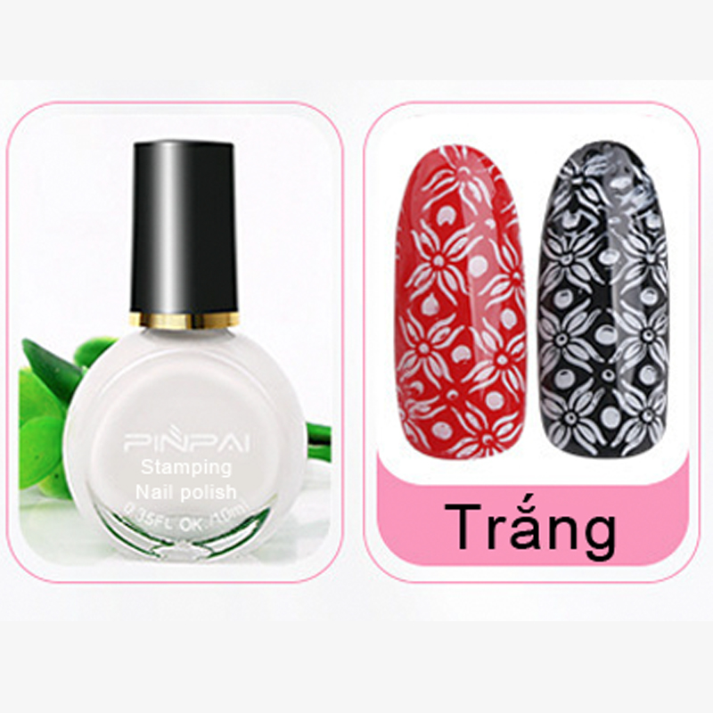 Sơn in Vẽ Móng Nhanh Khô Hiệu PINPAI