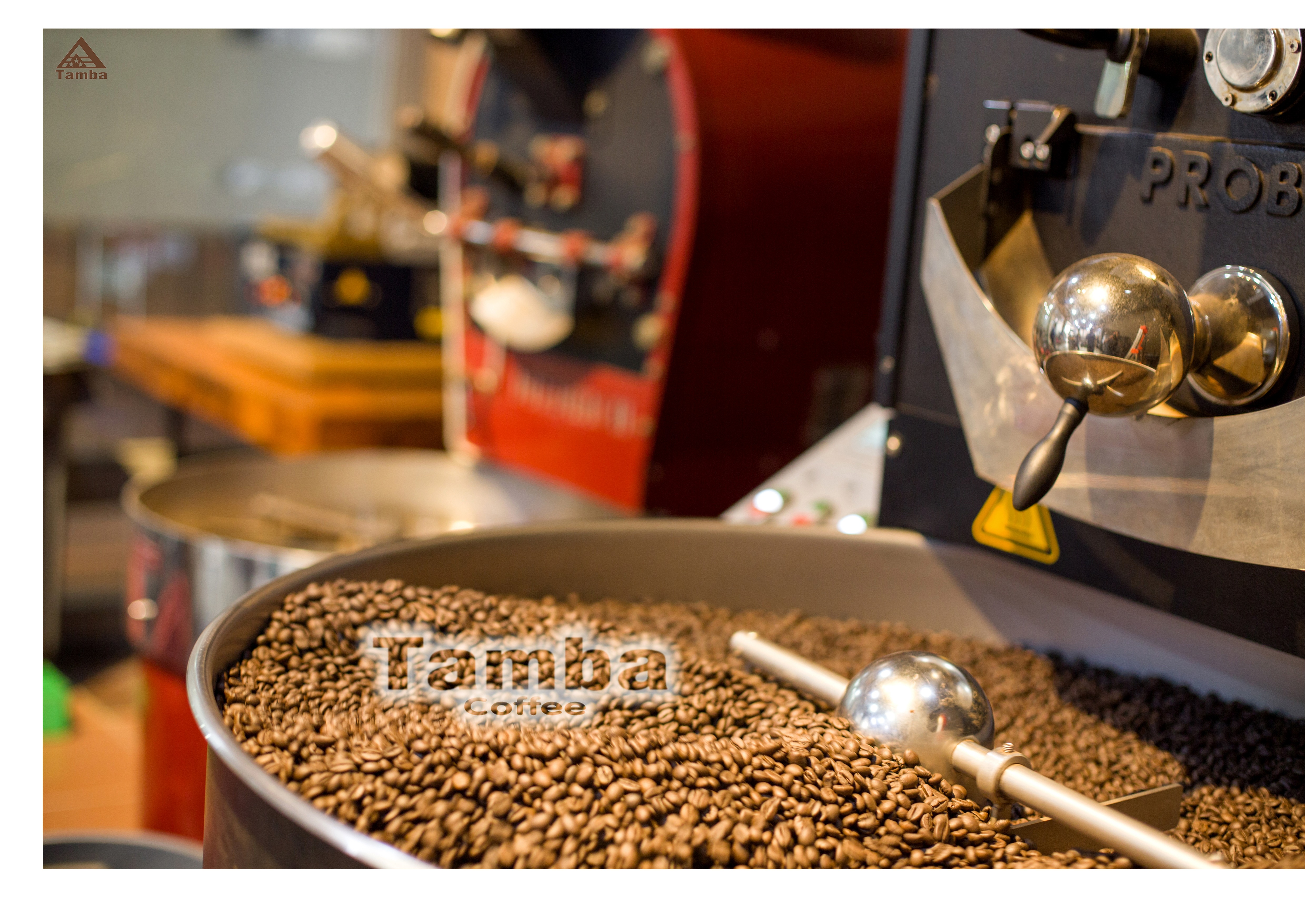 Cà phê bột Coffee Blend - Tamba Coffee - 1000gr