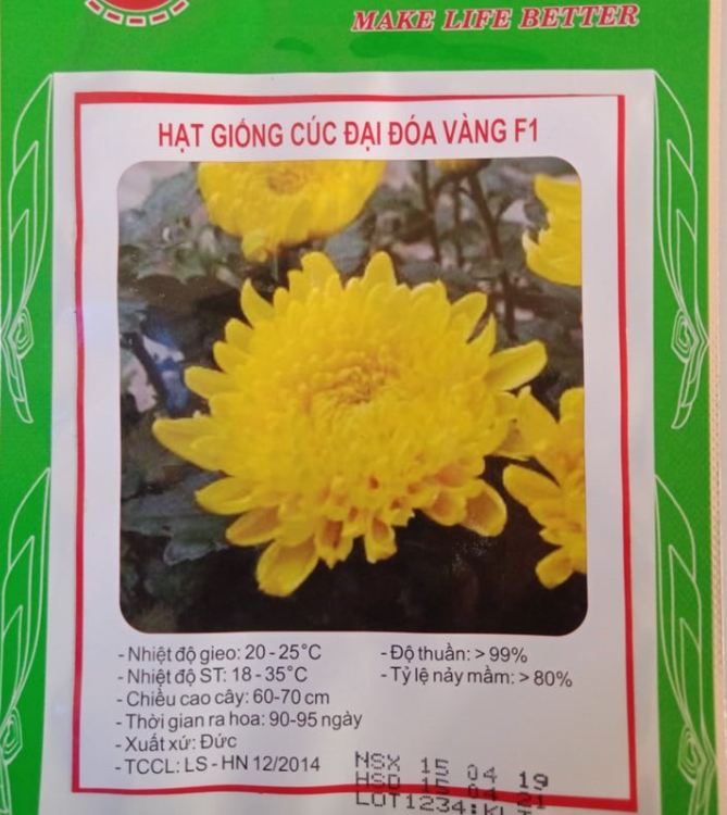 Hạt giống hoa cúc đại đóa vàng- Gói 50 hạt