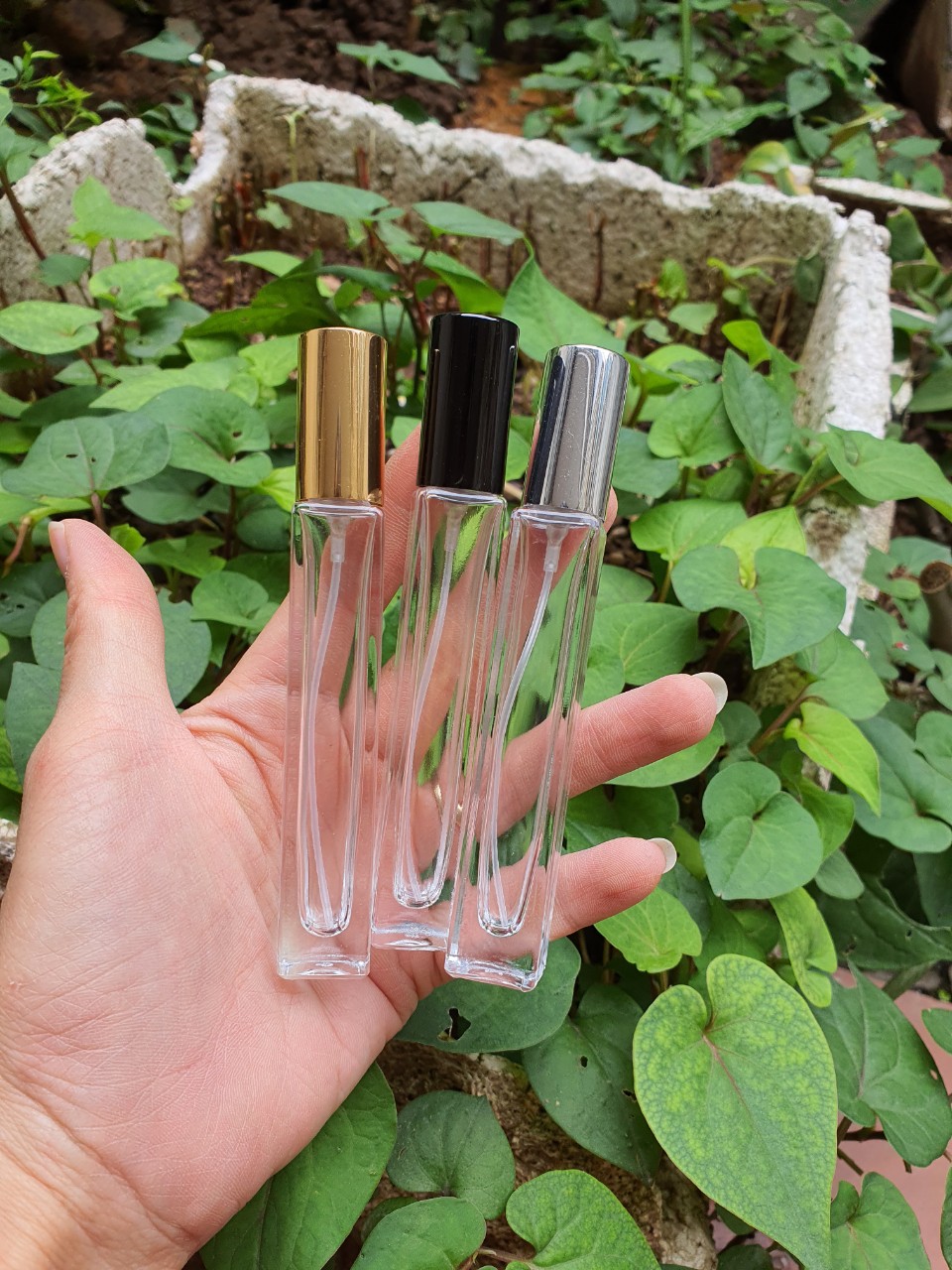 Combo 50 chai chiết nước hoa rỗng 10ml