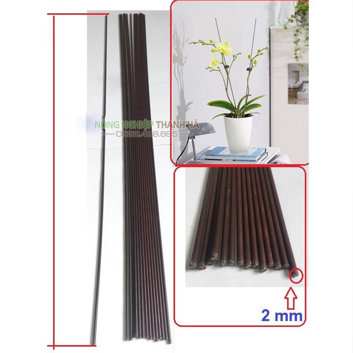 10 Que cắm lan, chống cành cây cảnh màu nâu dài 70 cm
