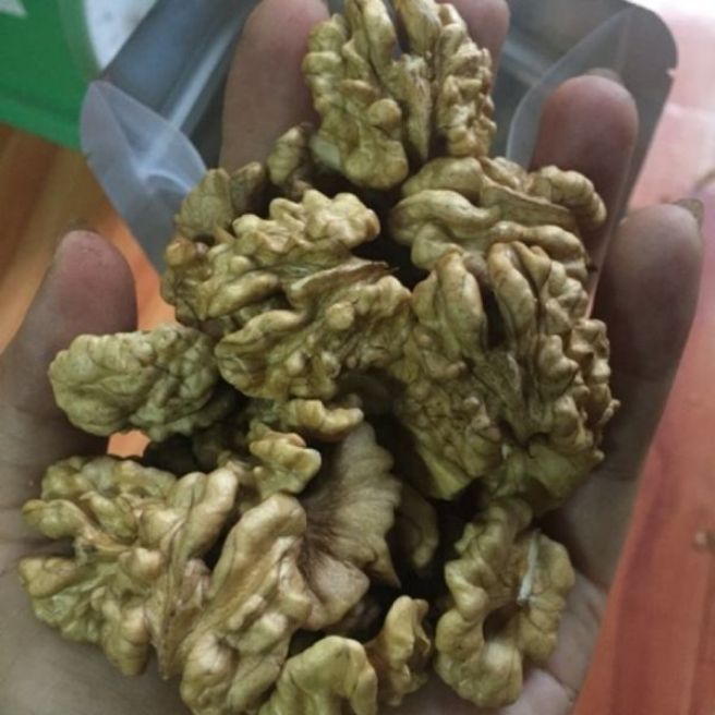 Sỉ toàn quốc 500g nhân óc chó