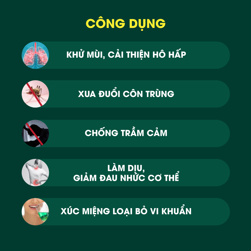 [50ml] Tinh Dầu Bạc Hà Nooky 100% thiên nhiên - [TORO FARM]
