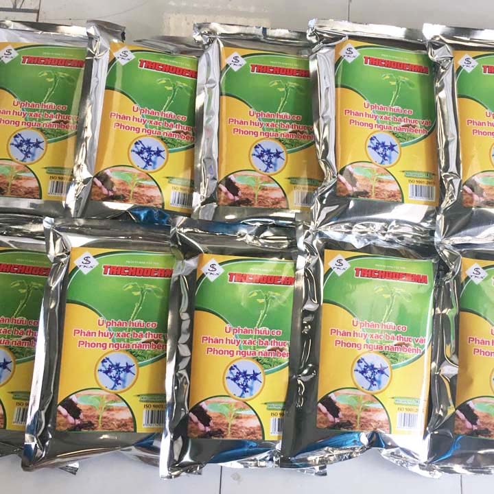 NẤM TRICHODERMA TKS: Đối Kháng Nấm Bệnh, Ủ Phân Hữu Cơ- Gói 1kg