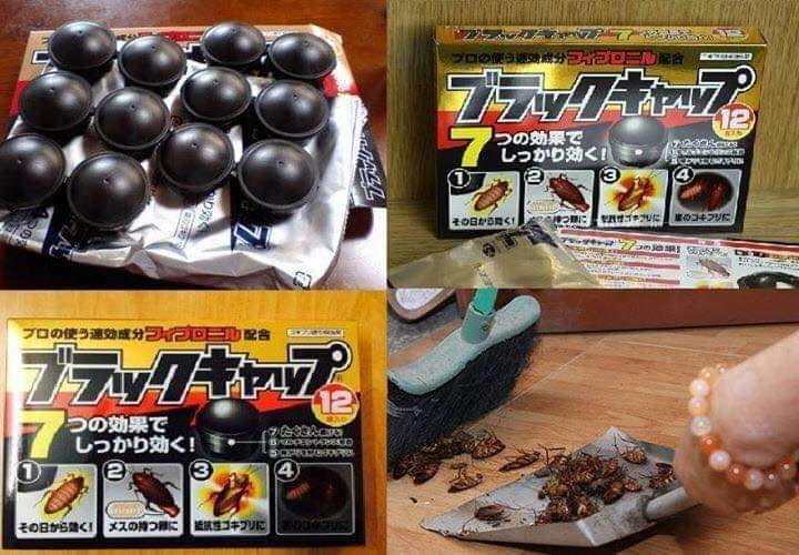 Hộp Diệt Gián Nhật Bản 12 Viên