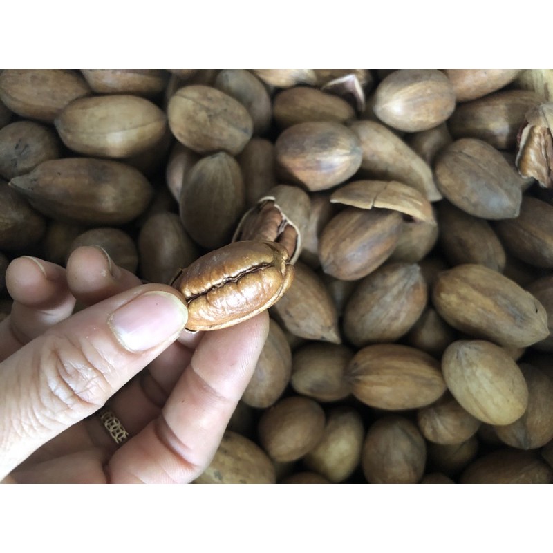Nhân Hồ Đào Mỹ 250G