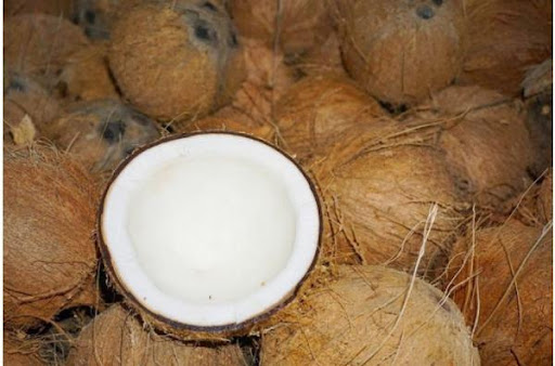 Dừa Khô Bến Tre - 850g - 1kg/trái