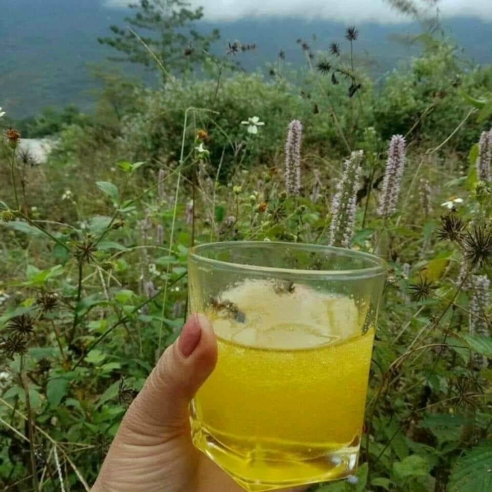 Mật Ong Hoa bạc Hà - Hà giang