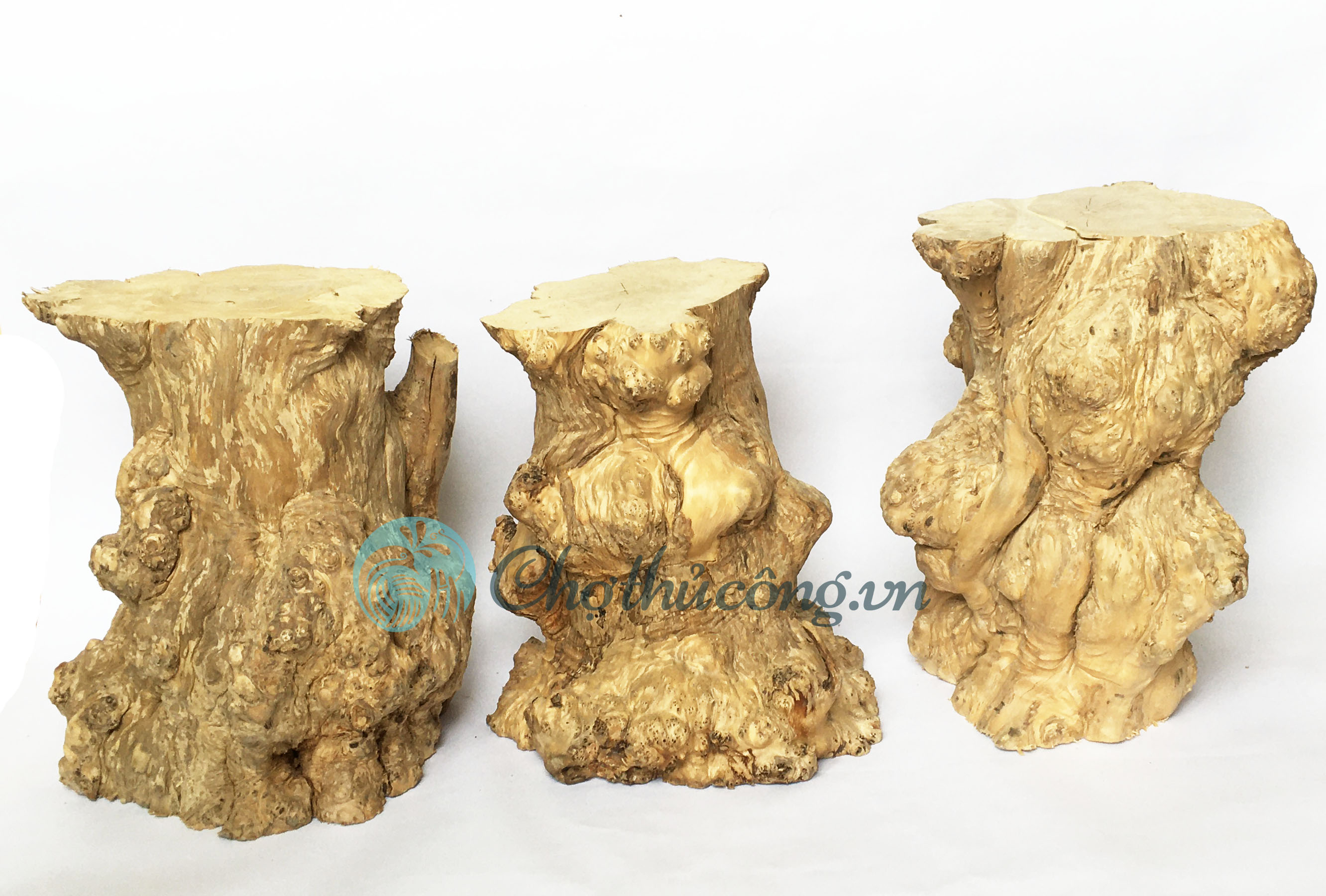 Mid-size wooden pedestal shelf from Coffee wood logs [random shape distribution] used as pedestals, tables, chairs, decoration, decor