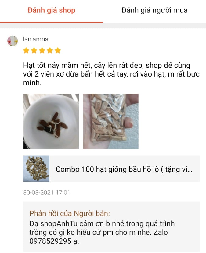 hạt giống bầu hồ lô giống to (100 hạt)