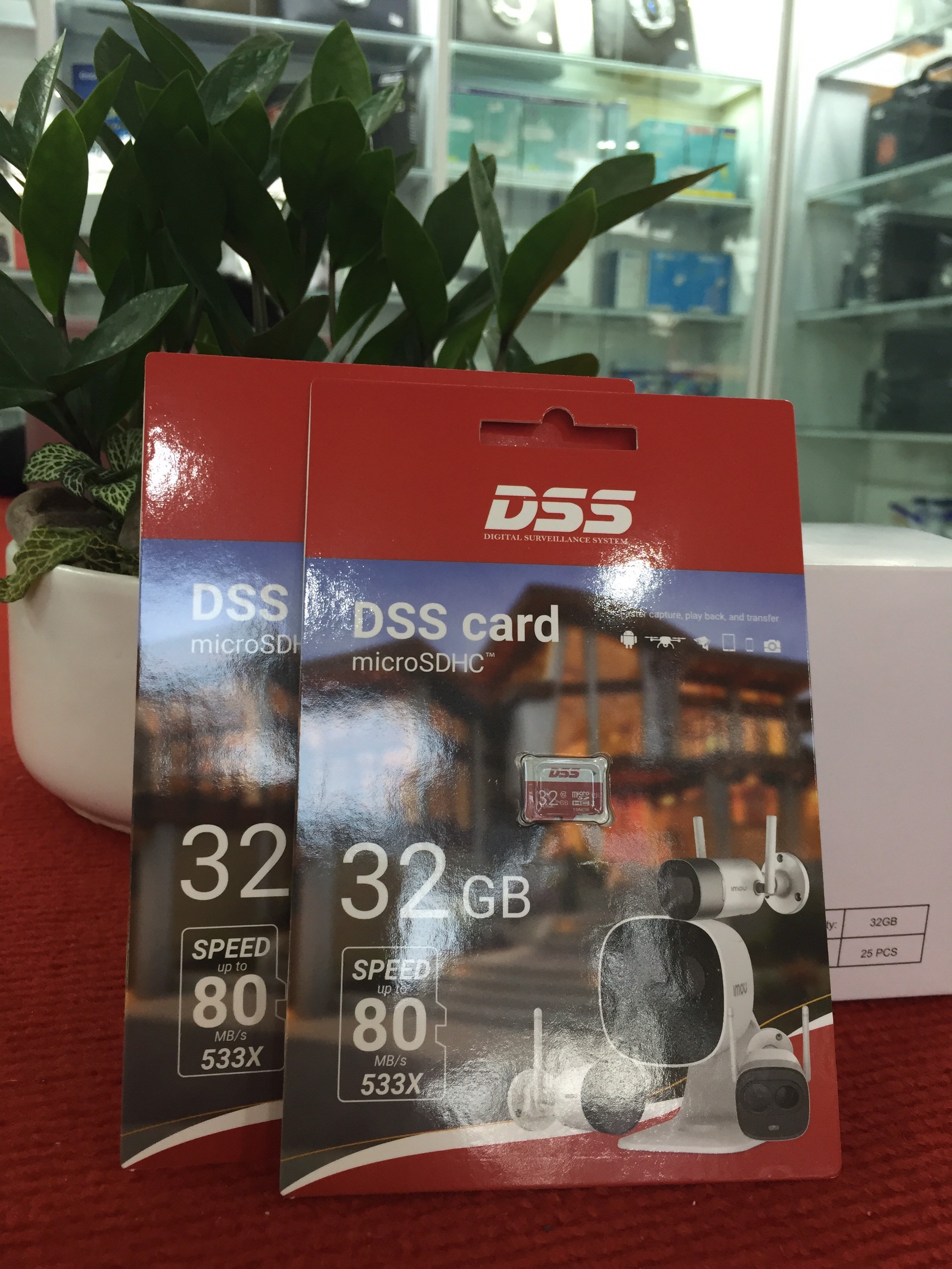 Thẻ Nhớ MicroSD DSS 32Gb Class 10 (Thẻ Chuyên Dụng Cho Camera, Điện Thoại)