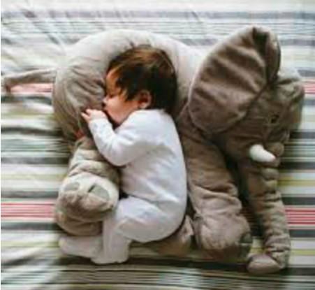 Đồ chơi nôi bông chú voi con
