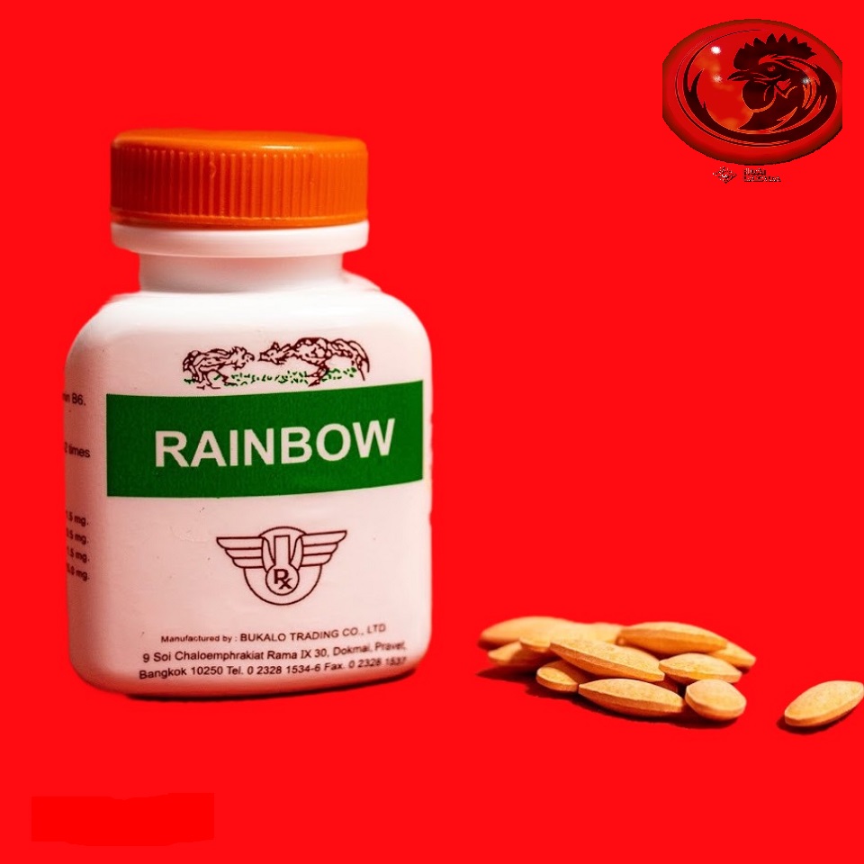 Thuốc nuôi gà đá RAINBOW tăng bo nhanh chóng, dẻo dai, sung mãn