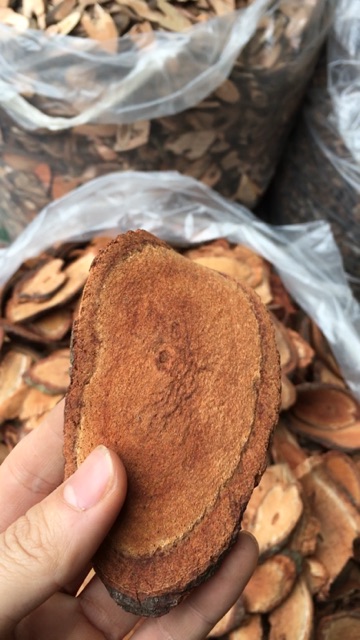 cỏ máu phơi khô nguyên vi