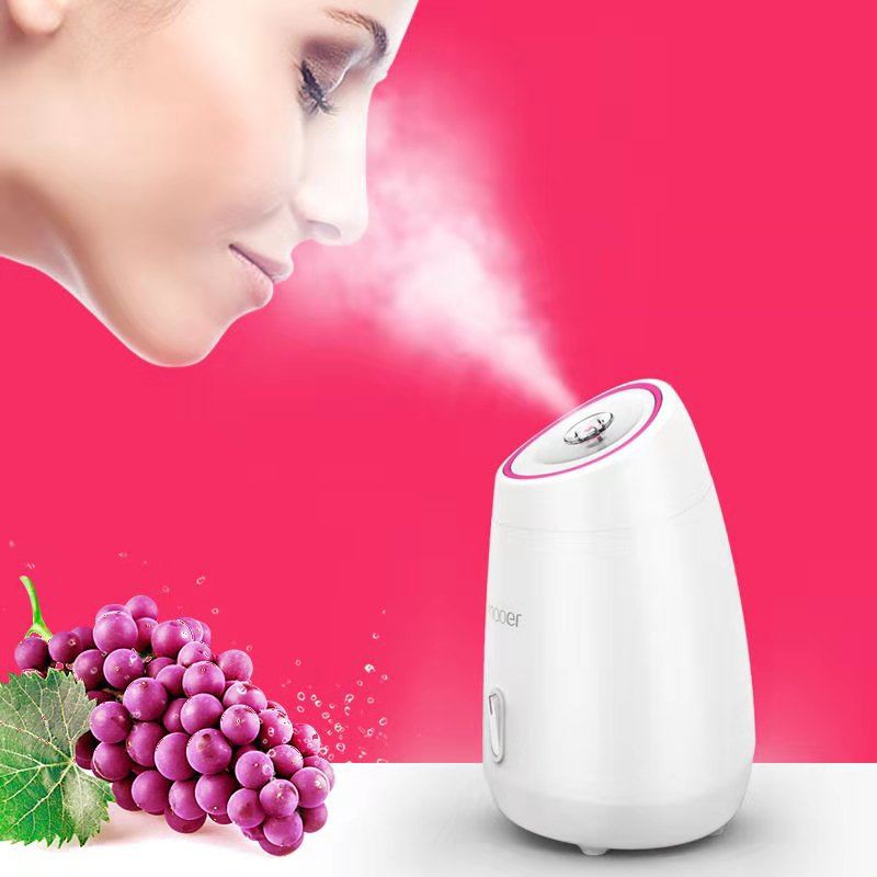 Máy Xông Mặt Hoa Quả Maoer
