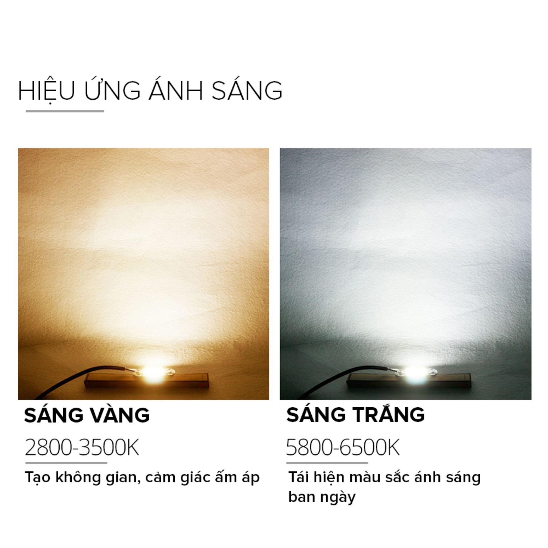 Nhân chip đèn led 36V-100W