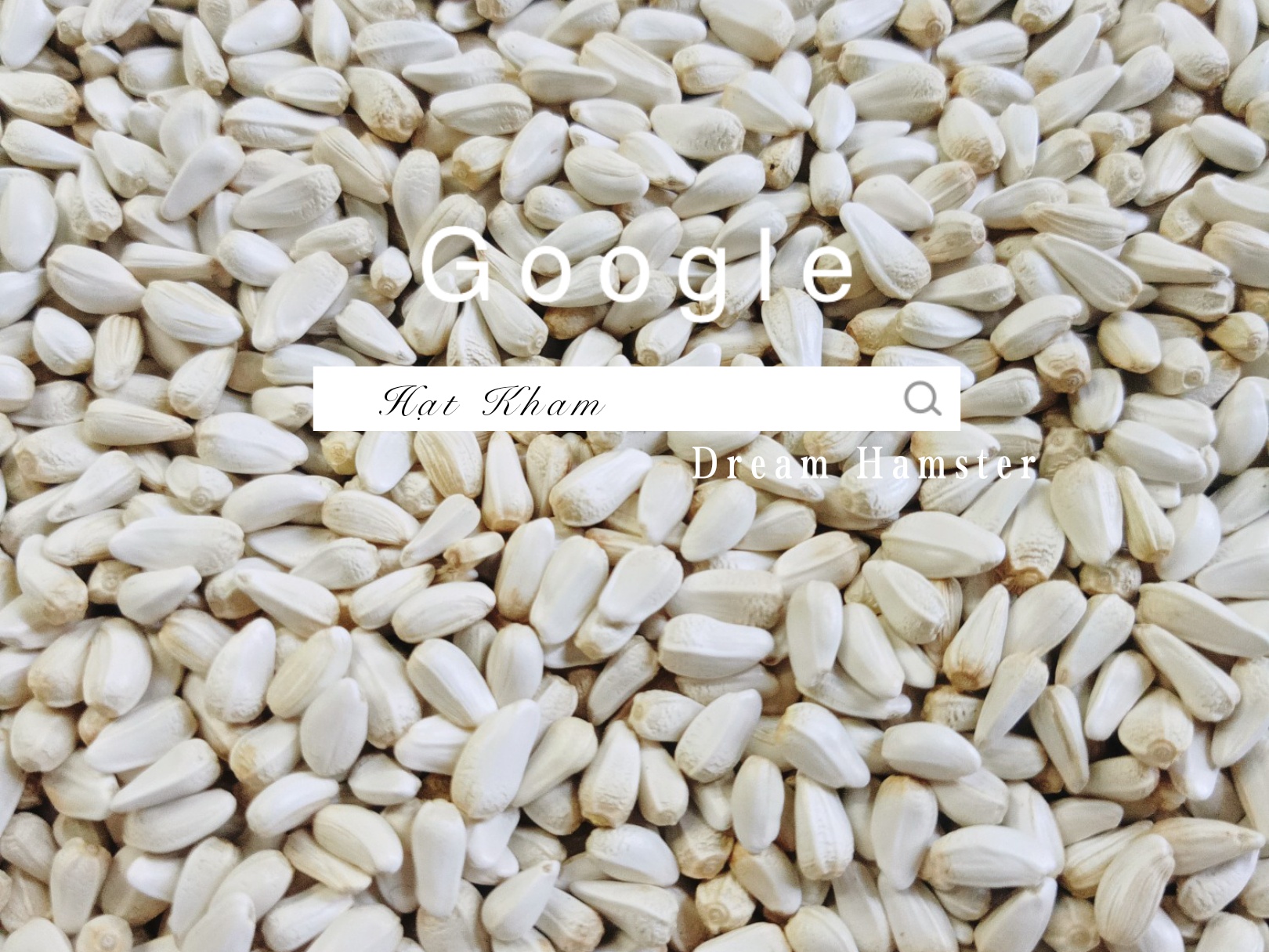 Hạt kham cho Hamster (100gr)