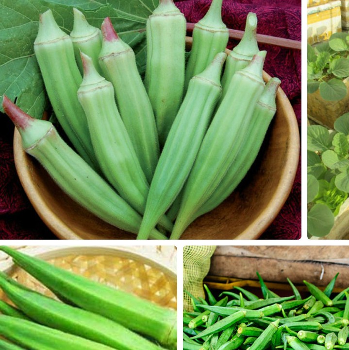 Hạt đậu bắp - cà bắp - gói 18 gram