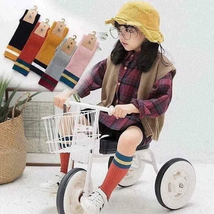 combo 5 đôi tất gối dài cho bé gái