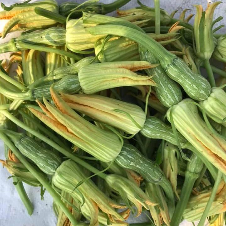 Hạt Giống Bí Nụ Ăn Non Giòn, Ngọt (0.5gr)