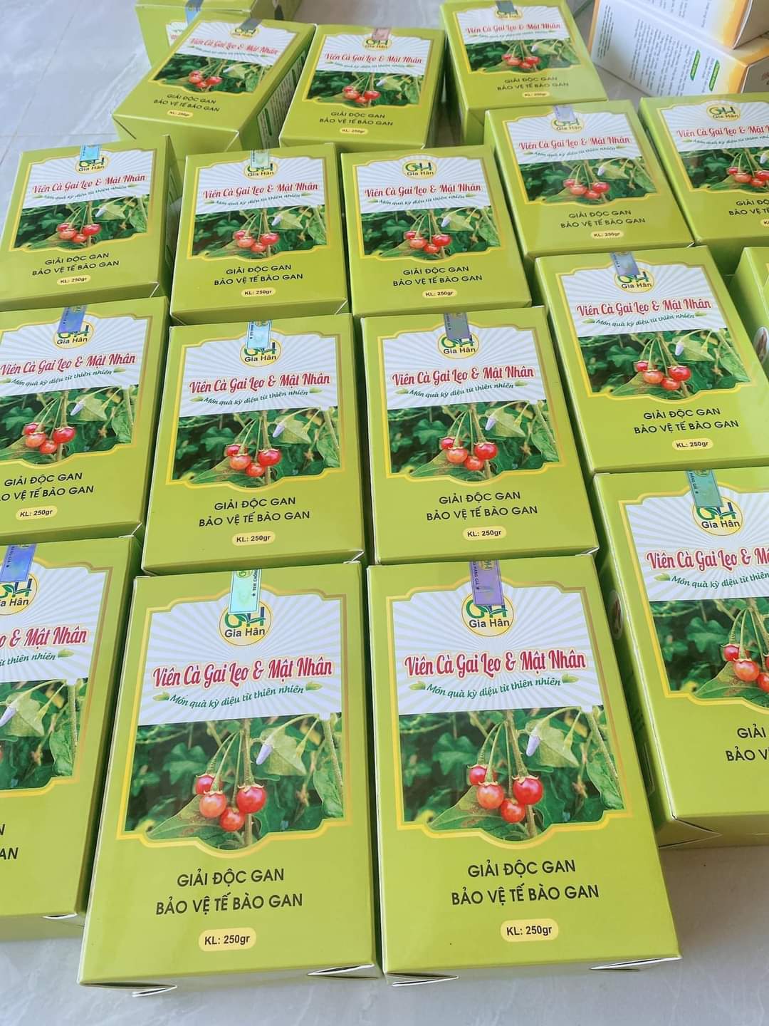 Viên Cà Gai Leo Mật Nhân 250 gam
